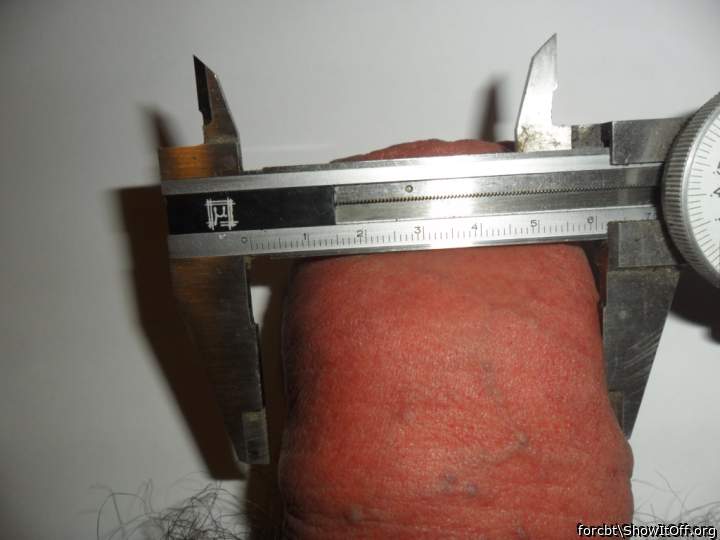 Adult image from forcbt