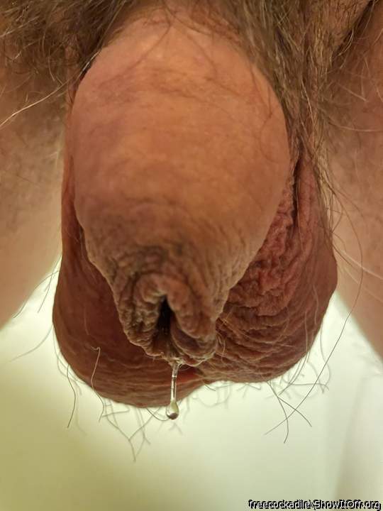 My cock is crying, begging to cum