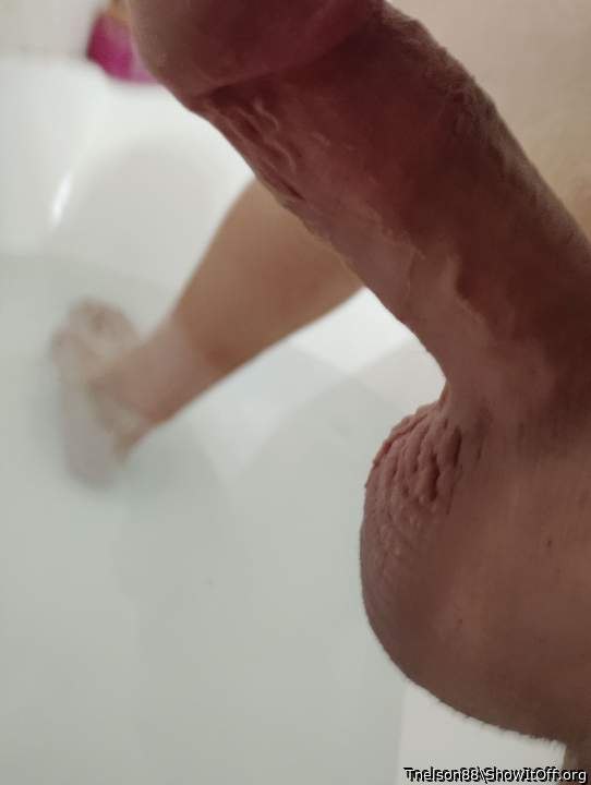 Adult image from Tnelson88