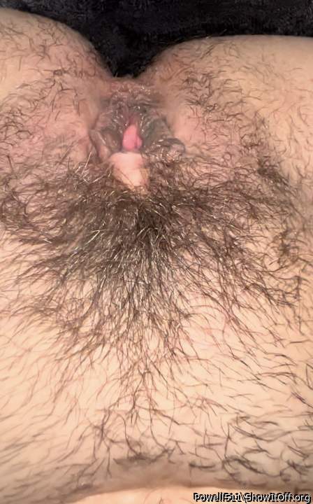 Adult image from Powell511