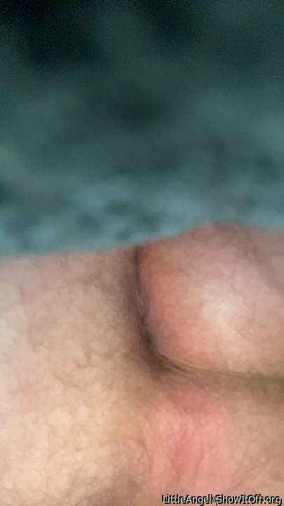 Adult image from LittleAngel