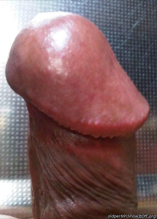 You have a perfect looking cock head 