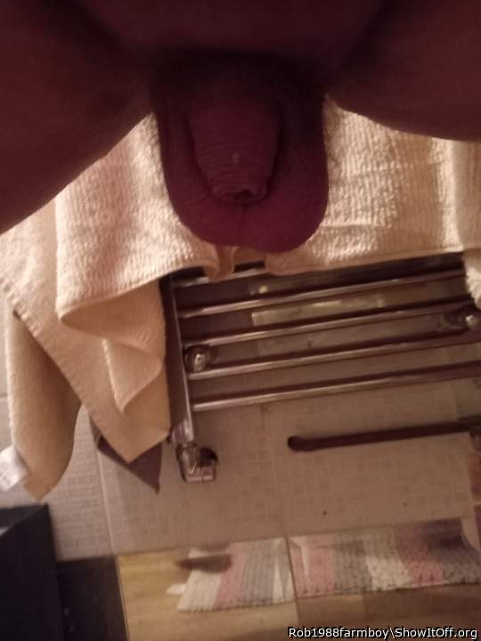 Adult image from Rob1988farmboy