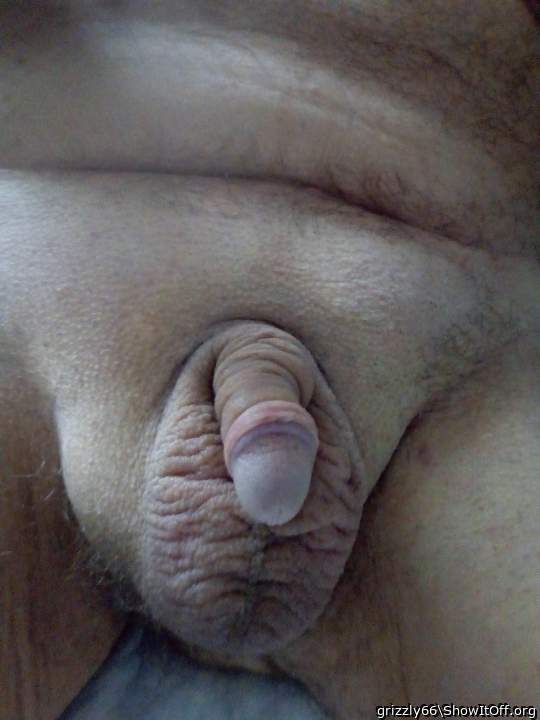 what a cute willy and fabulous wrinkled ballsack!   