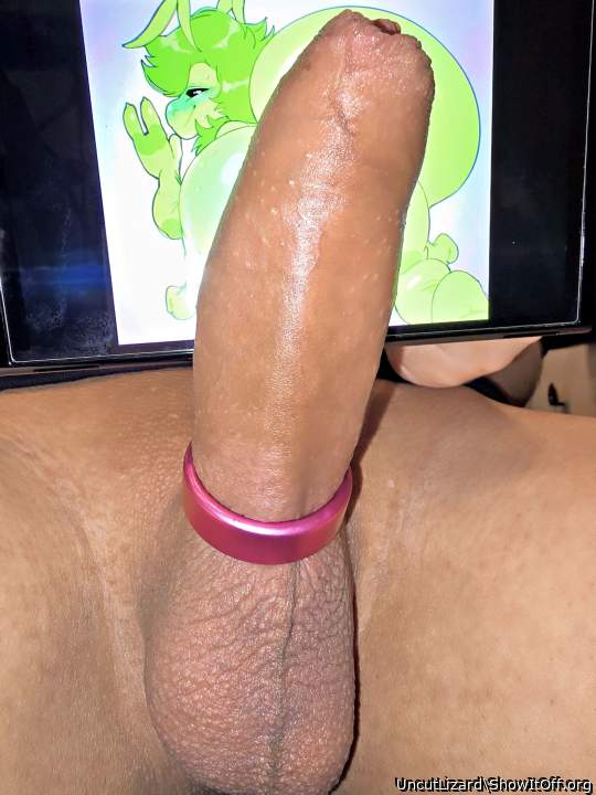 Adult image from UncutLizard