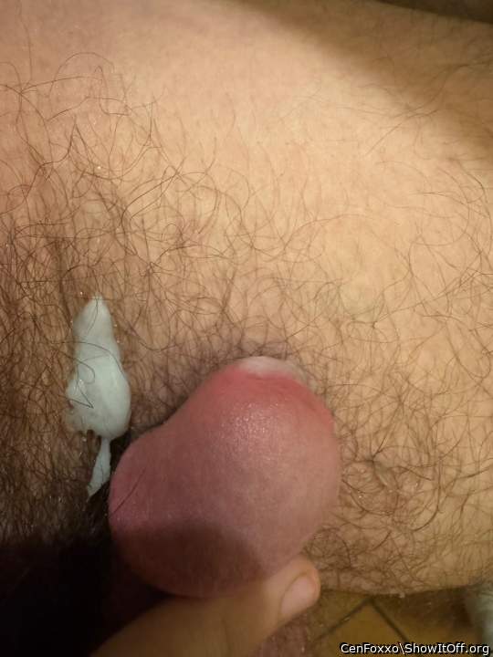 Adult image from CenFoxxo