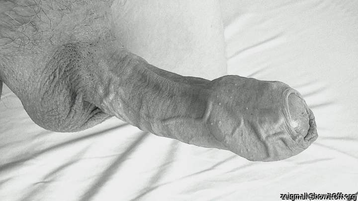 Adult image from zeigmal