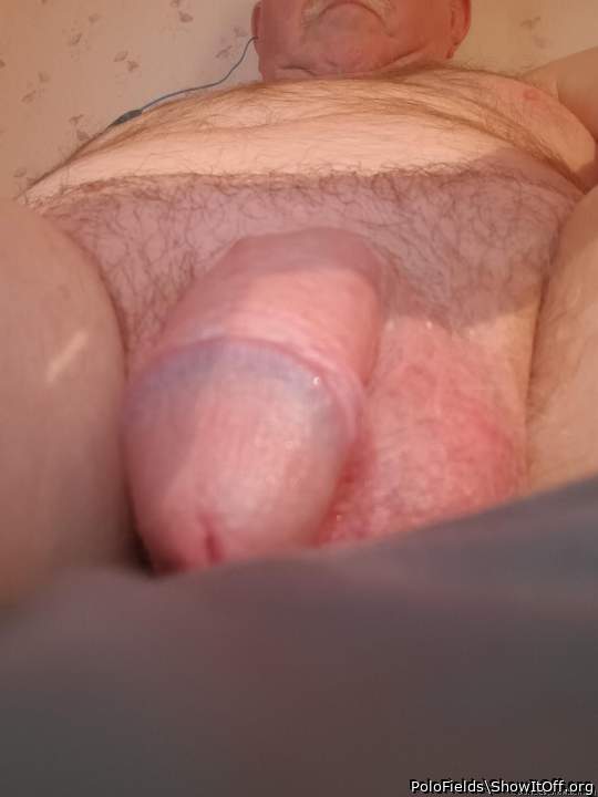 Adult image from PoloFields