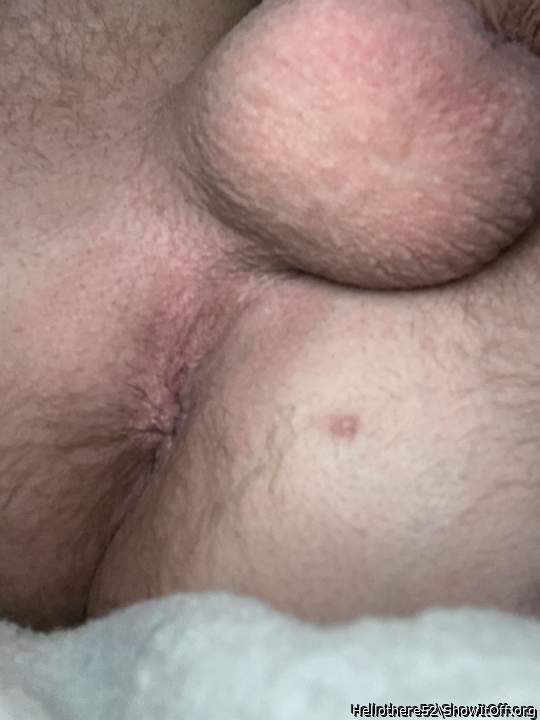 Adult image from Hellothere52