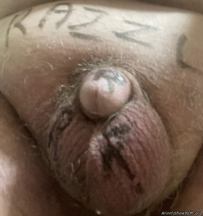 Adult image from Arinn