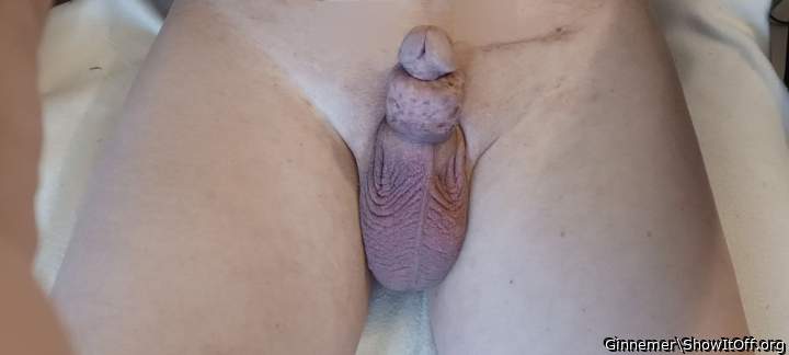 Adult image from Ginnemer