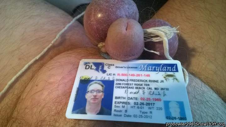 donny rhine stupid things i do on a dare naked