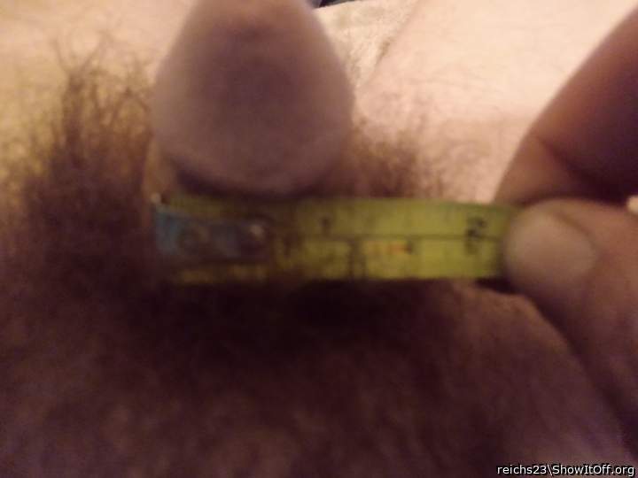 About 1.25 inches wide..