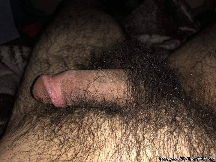 Attractive hairy dick 