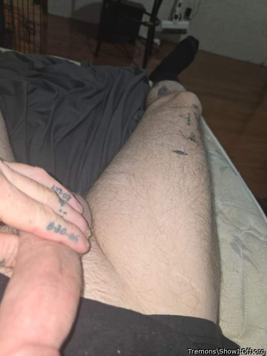 Adult image from Tremons