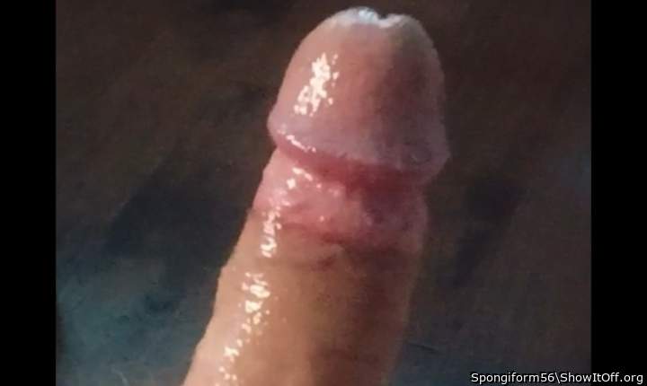Adult image from Spongiform56