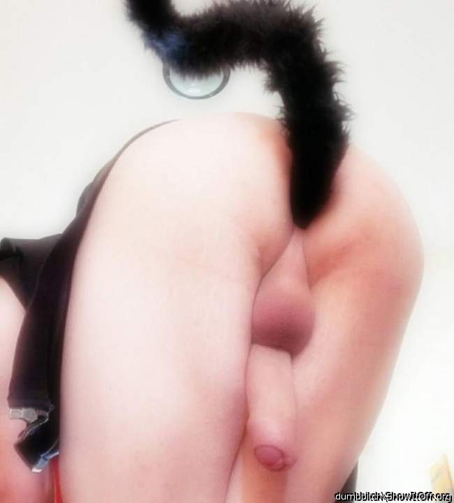 My stupid little kitty ass