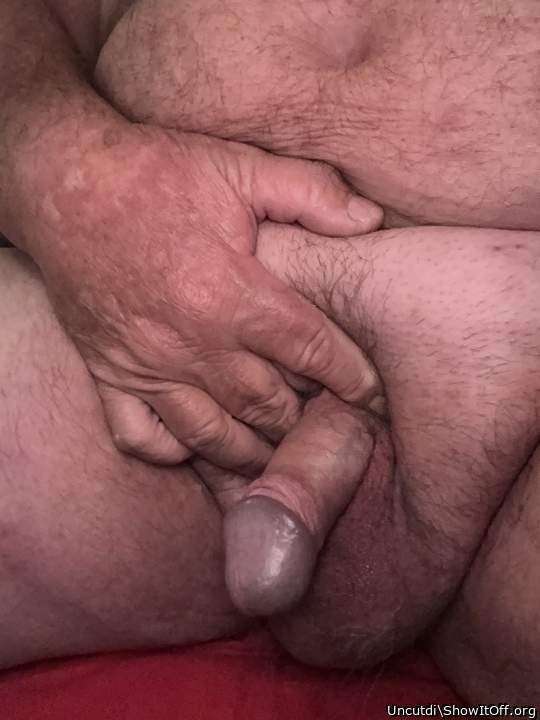 Very attractive cock.