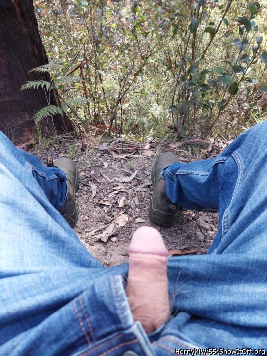 Adult image from Hornykiwi55