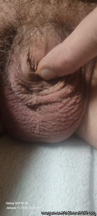 Adult image from megaman10