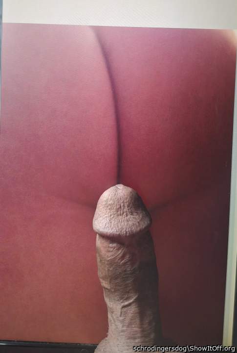 diddlekings delicious bum cheeks