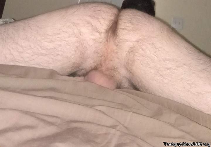 Adult image from Tiredguy