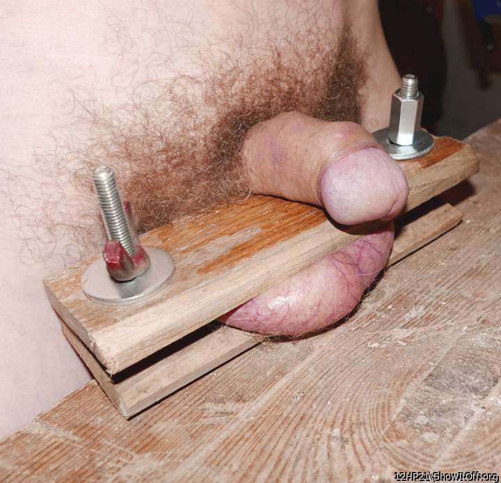 Adult image from 12HP21