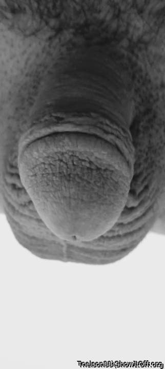 Adult image from Tnelson88
