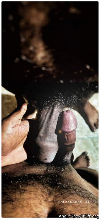 Adult image from Andii