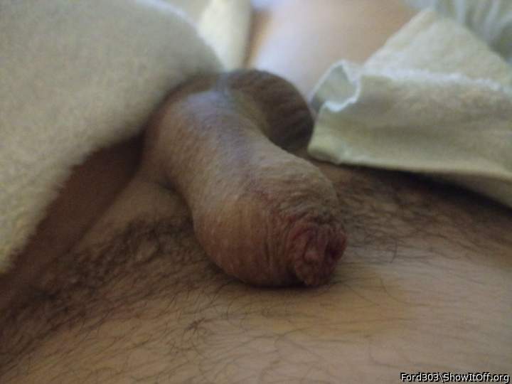 Adult image from Ford303
