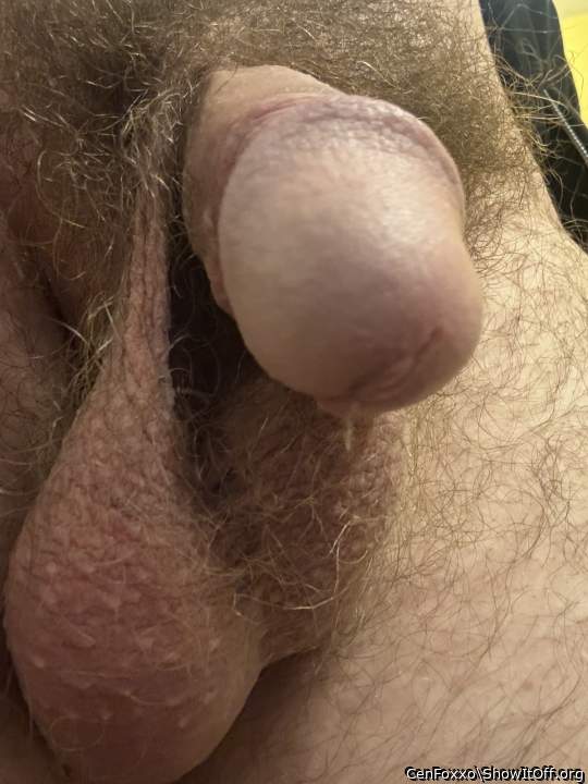 A good looking manhood.