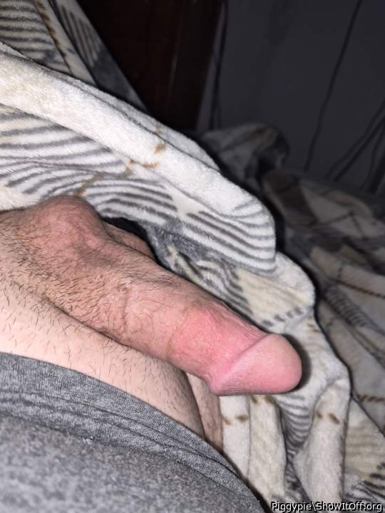 Adult image from Piggypie