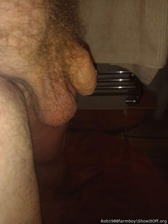 Adult image from Rob1988farmboy