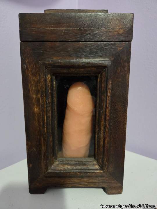 Clone-a-Willy in it's trophy case