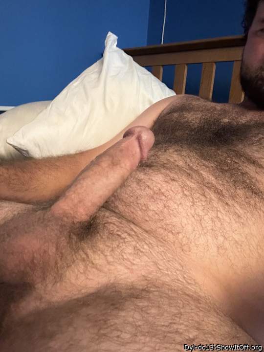 Hard cock laying in bed