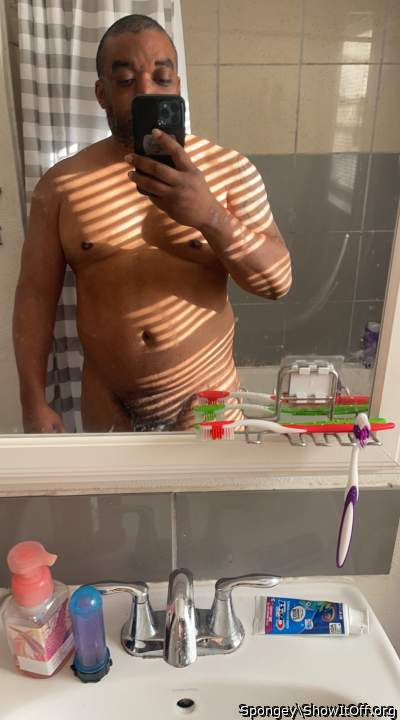 Adult image from Spongey