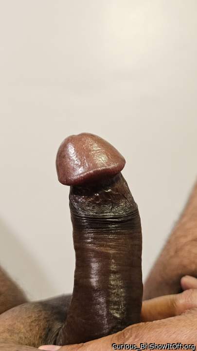 Adult image from Curious_Bi