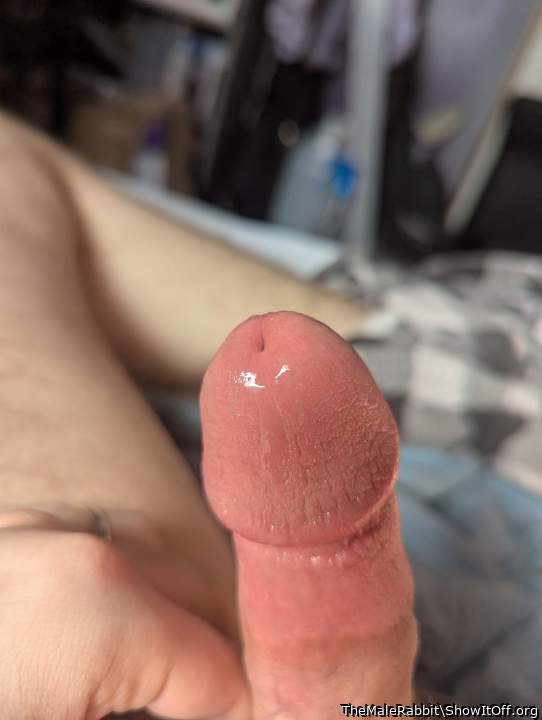 Adult image from TheMaleRabbit