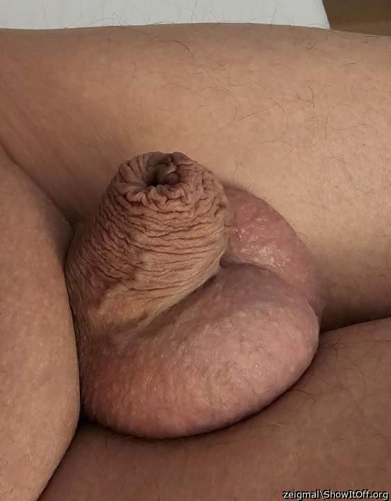 Adult image from zeigmal