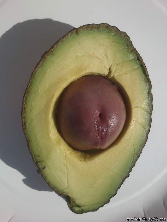 Bad Avocado!!!